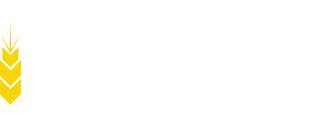 https://staging.missionarymemories.com